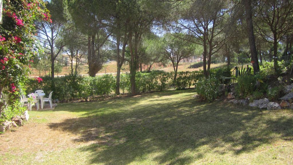 הוילה וילהמורה Casa Camelia מראה חיצוני תמונה