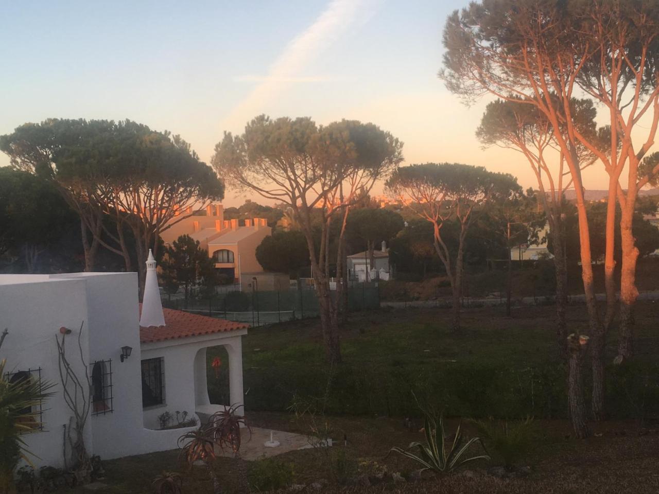 הוילה וילהמורה Casa Camelia מראה חיצוני תמונה