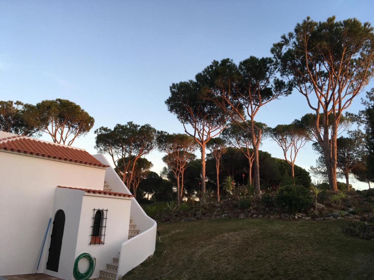 הוילה וילהמורה Casa Camelia מראה חיצוני תמונה