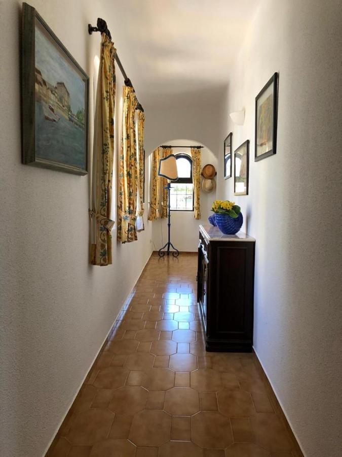 הוילה וילהמורה Casa Camelia מראה חיצוני תמונה